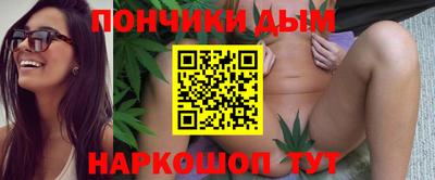 гидра Краснокаменск