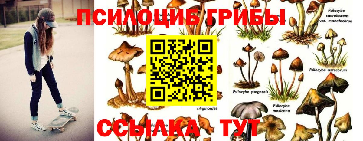 Галлюциногенные грибы мицелий Костомукша