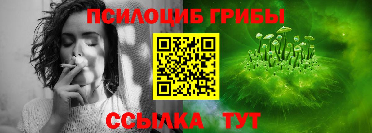 Псилоцибиновые грибы Psilocybe  что такое   Галлюциногенные грибы мицелий  Костомукша  Вход с VPN 